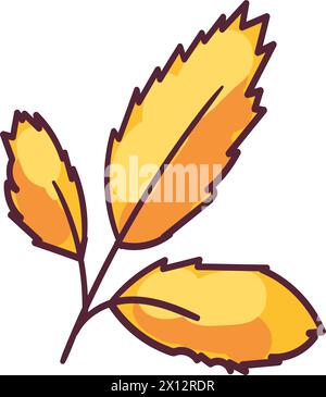 Autumn ash tree leaf foliage stroked illustration. Tree leaf, herbarium. Simple cartoon multicolored vector hand drawn isolated on white background Stock Vector