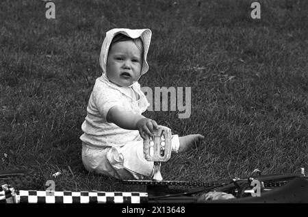 'Danube Isle Festival' in Vienna on May 19th 1989. The theme of the ...