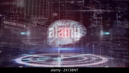 Image of data processing over brain Stock Photo