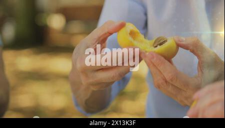 Image of light spots over caucasian family preparing plums Stock Photo