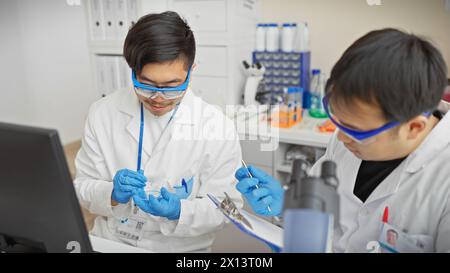 Two men in lab coats working attentively in a scientific laboratory with test tubes and a microscope Stock Photo