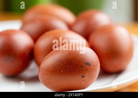 Burford Brown Free range eggs. Stock Photo