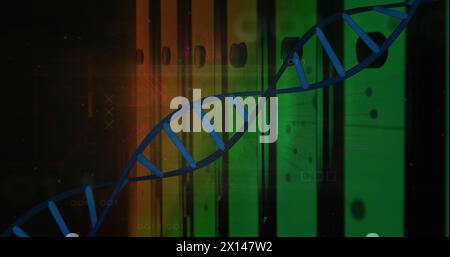 Image of dna strand and data processing over computer servers Stock Photo