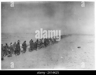 Italian prisoners are marched back by British Army troops during the ...