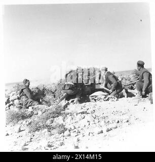 German Tank 38 (t), 1940 Stock Photo - Alamy