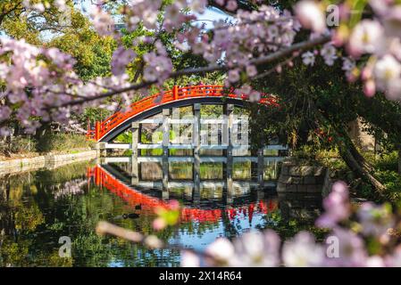 The Taiko bashi at Sumiyoshi Taisha Grand Shrine in Osaka, Kansai, Japan Stock Photo