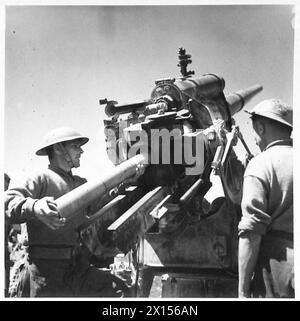 WITH THE EIGHTH ARMY (VARIOUS) - A Regiment of the Royal Artillery (attached to the New Zealand Division) has captured several 88 mm German guns and they are now being used against the enemy. These guns can be used for anti-tank, field and anti-aircraft shoots. The guns are shown in action at Enfideville, North of Sousse British Army Stock Photo