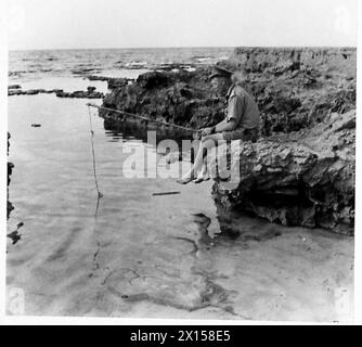 PHOTOGRAPHS TAKEN OF THE WORK OF THE MILITARY POLICE IN THE WESTERN DESERT - A little relaxation between duties British Army Stock Photo