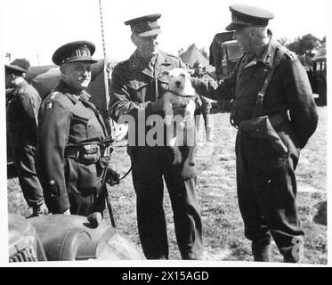 HIGH BELGIAN OFFICERS, EN ROUTE TO BRUSSELS. ARRIVE IN FRANCE - Brig. Robbins holding 'Punch', the property of Lt.Gen. V.S. de Burkel (left). The latter brought this dog out of Belgium with him in 1940 and is now taking it back with him. On right, Lt. Gen. Paul Tschoffen British Army, 21st Army Group Stock Photo