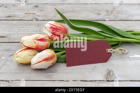 Bouquet of striped tulips in red, yellow and white and card with copy space on a wooden ground Stock Photo