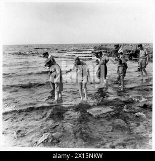 PHOTOGRAPHS TAKEN OF THE WORK OF THE MILITARY POLICE IN THE WESTERN DESERT - A cooler in the sea after a hot day in the Desert British Army Stock Photo