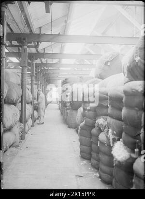 HUDDERSFIELD CLOTH MILL: THE WORK OF C & J HIRST AND SONS LTD., SUNNYBANK, LONGWOOD, HUDDERSFIELD, YORKSHIRE, ENGLAND, UK, 1943 - A view of large bales of wool stored in the warehouse of C and J Hirst and Sons Ltd., at Sunnybank in Longwood, Huddersfield. A mill worker can be seen checking this raw material in the distance Stock Photo