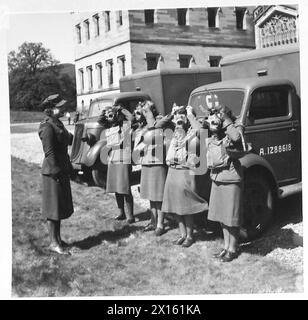 THE POLISH ARMY IN BRITAIN, 1940-1947 - Diana Napier was a well known actress and wife of Richard Tauber, the Austrian-born opera singer, in her private life. Female members of the First Aid Nursing Yeomanry (FANY) unit attached to the 1st Polish Corps practising gas mask drill by their ambulances at Cupar, 1 June 1941. They are supervised by Diana Napier, their section commander British Army, British Army, First Aid Nursing Yeomanry, Polish Army, Polish Armed Forces in the West, 1st Corps, Napier, Diana Stock Photo