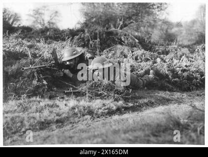 BREN CARRIERS IN ACTION - Bren crews go into action with their gun, using the bracken as cover British Army Stock Photo