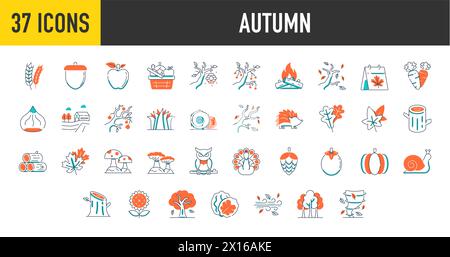 Set of autumn icons. Collection of fall related objects, plants and animals, holidays, leaf, fall, celebrations. Seasonal vector icon. Stock Vector