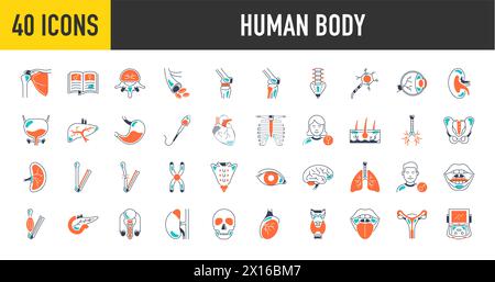 Bundle of body parts and organs icons. Human body vector illustration ...