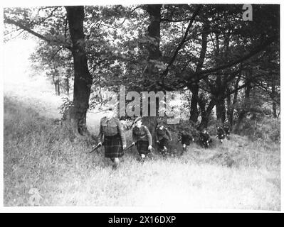 Liverpool Scottish cadets advance through long grass during training ...