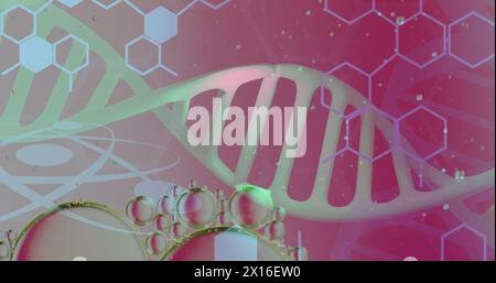 Image of bubbles over dna strand and hexagons on pink background Stock Photo