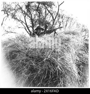 SPARTAN EXERCISE - A British sniper, with Bren gun, concealed on the top of a load of straw British Army Stock Photo