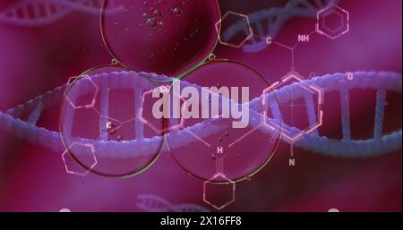 Image of bubbles over dna strand and chemical formula on purple background Stock Photo