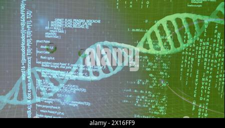 Image of data processing over bubbles and dna strand on green background Stock Photo