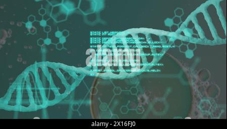 Image of bubbles over dna strand and data processing on green background Stock Photo