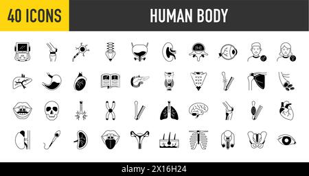 Bundle of body parts and organs icons. Human body vector illustration Stock Vector