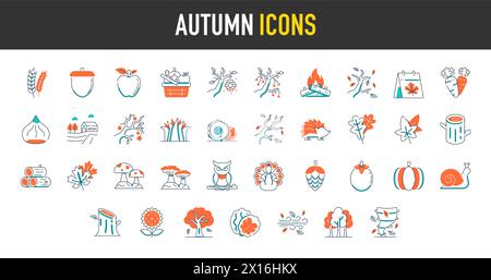 Set of autumn icons. Collection of fall related objects, plants and animals, holidays, leaf, fall, celebrations. Seasonal vector icon. Stock Vector