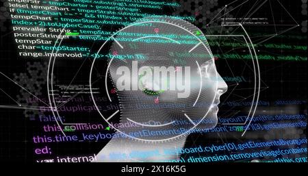 Image of data processing and network of connections over digital human head on black background Stock Photo