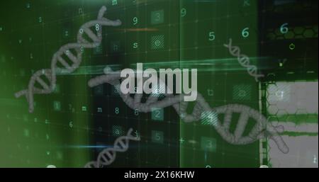 Image of data processing and dna strands spinning Stock Photo