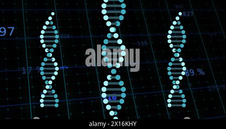 Image of numbers and data processing and dna strands spinning Stock Photo