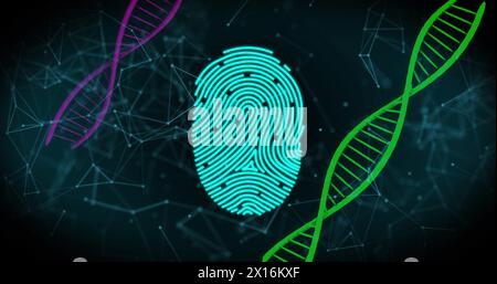 Biometric scanner and security padlock icons against dna structures and network of connections Stock Photo