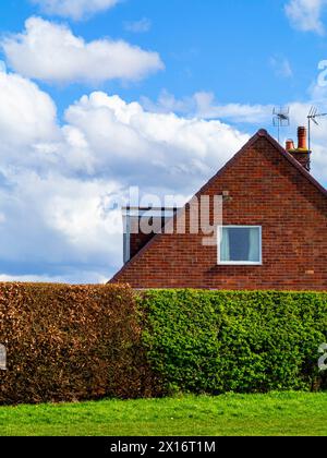 Brick built suburban house with square window and brown and white hedge in the foreground, blue sky with white fluffy clouds in the background. Stock Photo