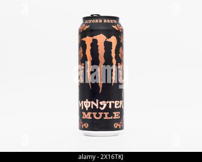 Monster Energy Mule Ginger Brew beverage. The sugar free energy drink is in a matte black can with a bronze claw. The flavor comes with zero calories. Stock Photo