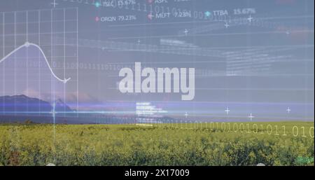 Image of stock market and data processing over field Stock Photo