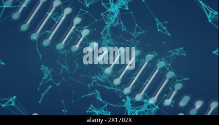 Image of rotating molecular structure over networks of connections on blue background Stock Photo