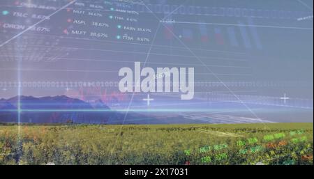 Image of stock market and data processing over field Stock Photo