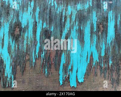 Old painted light blue wood surface Stock Photo