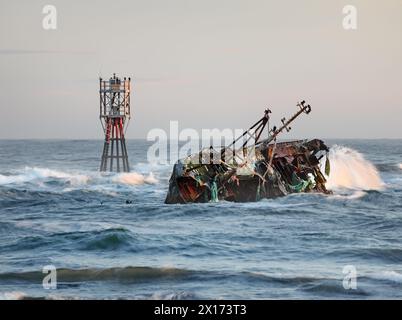 The wreck of the Sovereign (BF380), a Banff registered fishing boat that ran aground on the rocks of Cairnbulg Harbour in 2005, Scotland UK Stock Photo