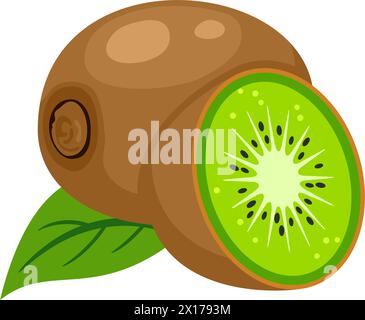 vector illustration of whole kiwi fruit, leaf and a kiwi fruit cut isolated on white background. icon of kiwifruit and slice with seeds Stock Vector