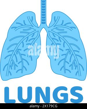 vector human lungs flat icon isolated on white background. blue color lung organ anatomy symbol for health and medical illustrations Stock Vector