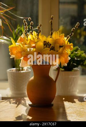 Spring daffodils in a ceramic jug Stock Photo