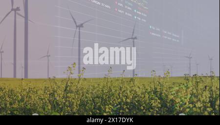Image of statistical, stock market data processing over spinning windmills on grassland Stock Photo