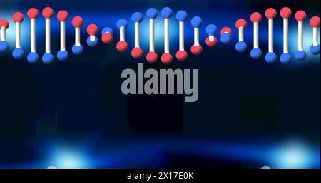 Image of dna strand spinning on blue background. science and research concept digitally generated image. Stock Photo