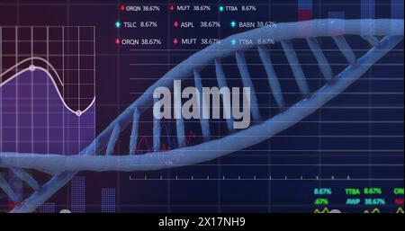 Image of data processing over dna strand over dark background Stock Photo