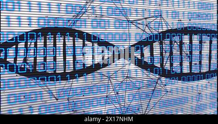 Image of dna strand with binary coding data processing over network of connections Stock Photo
