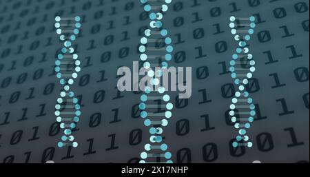 Image of dna strands spinning over binary coding data processing Stock Photo
