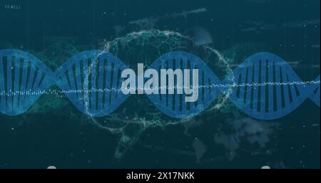 Image of dna strand spinning over human brain and data processing Stock Photo