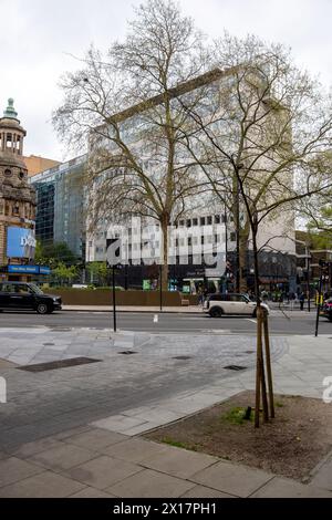 Soho street with budding trees and modern architecture. Stock Photo