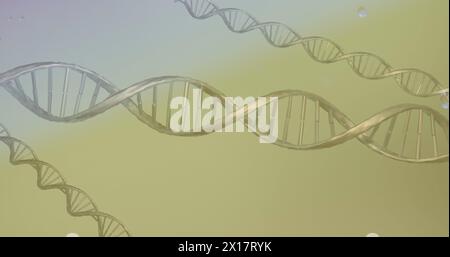 Image of bubbles over dna strands on green background Stock Photo